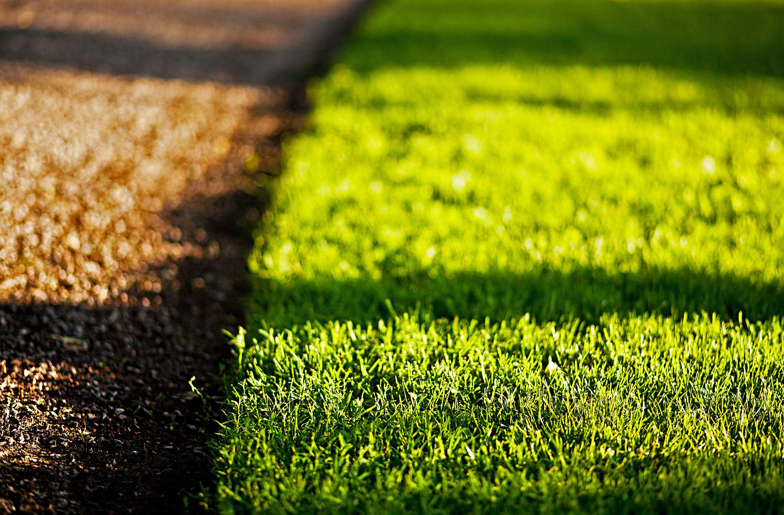 Nauč sa starať o svoj trávnik