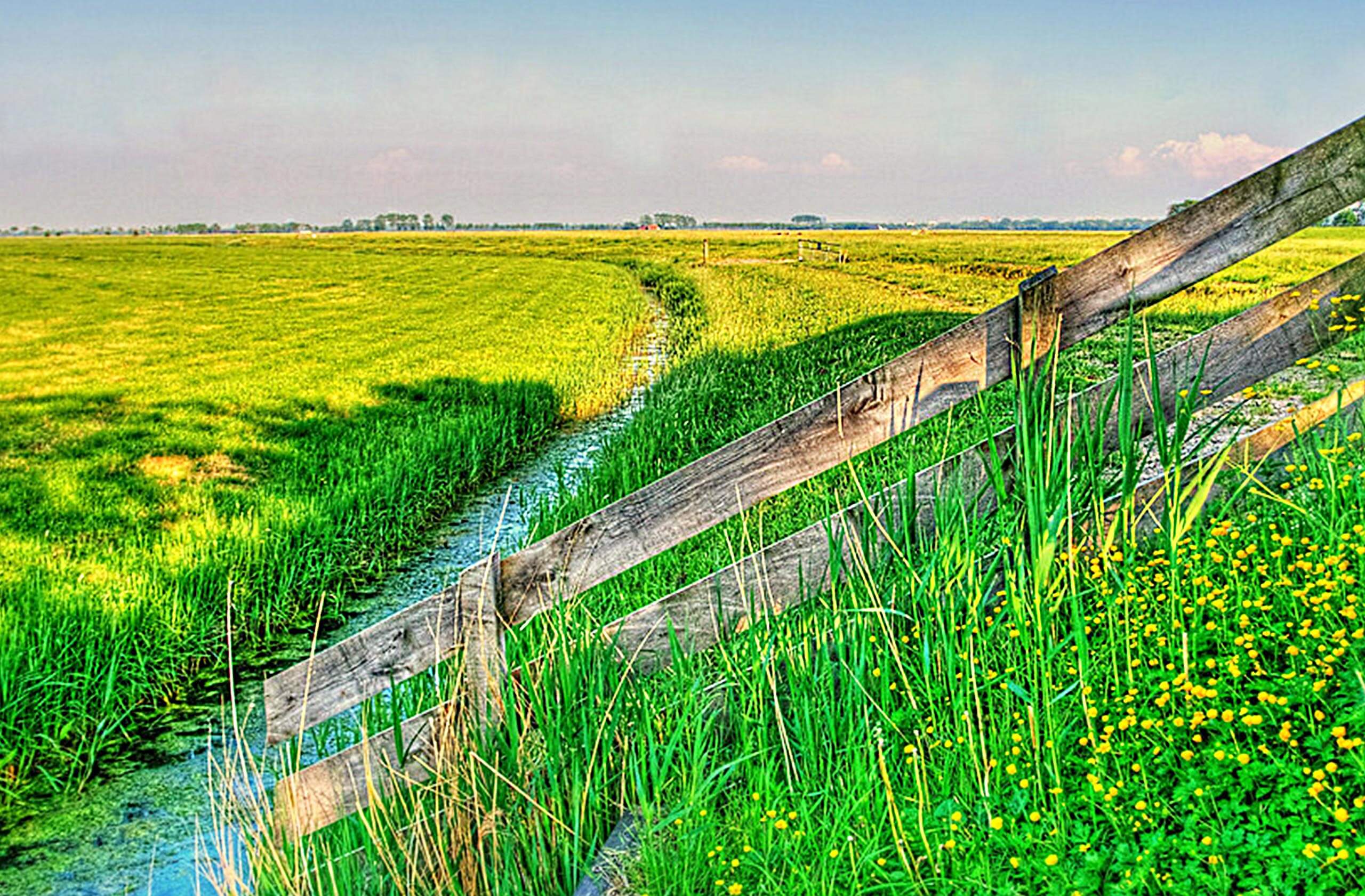 krásny trávnik a vhodné pôdne podmienky