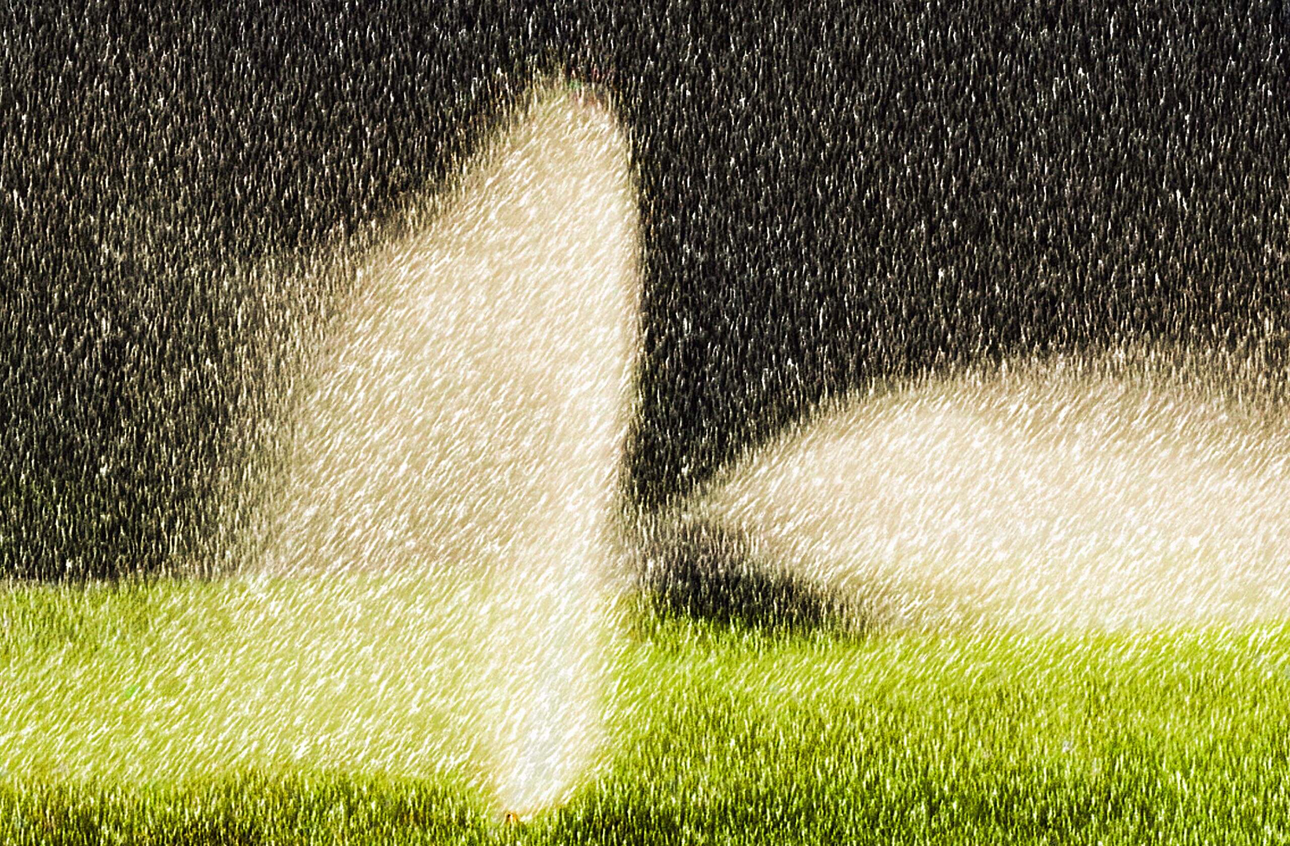 vývin tráv a trávnikov