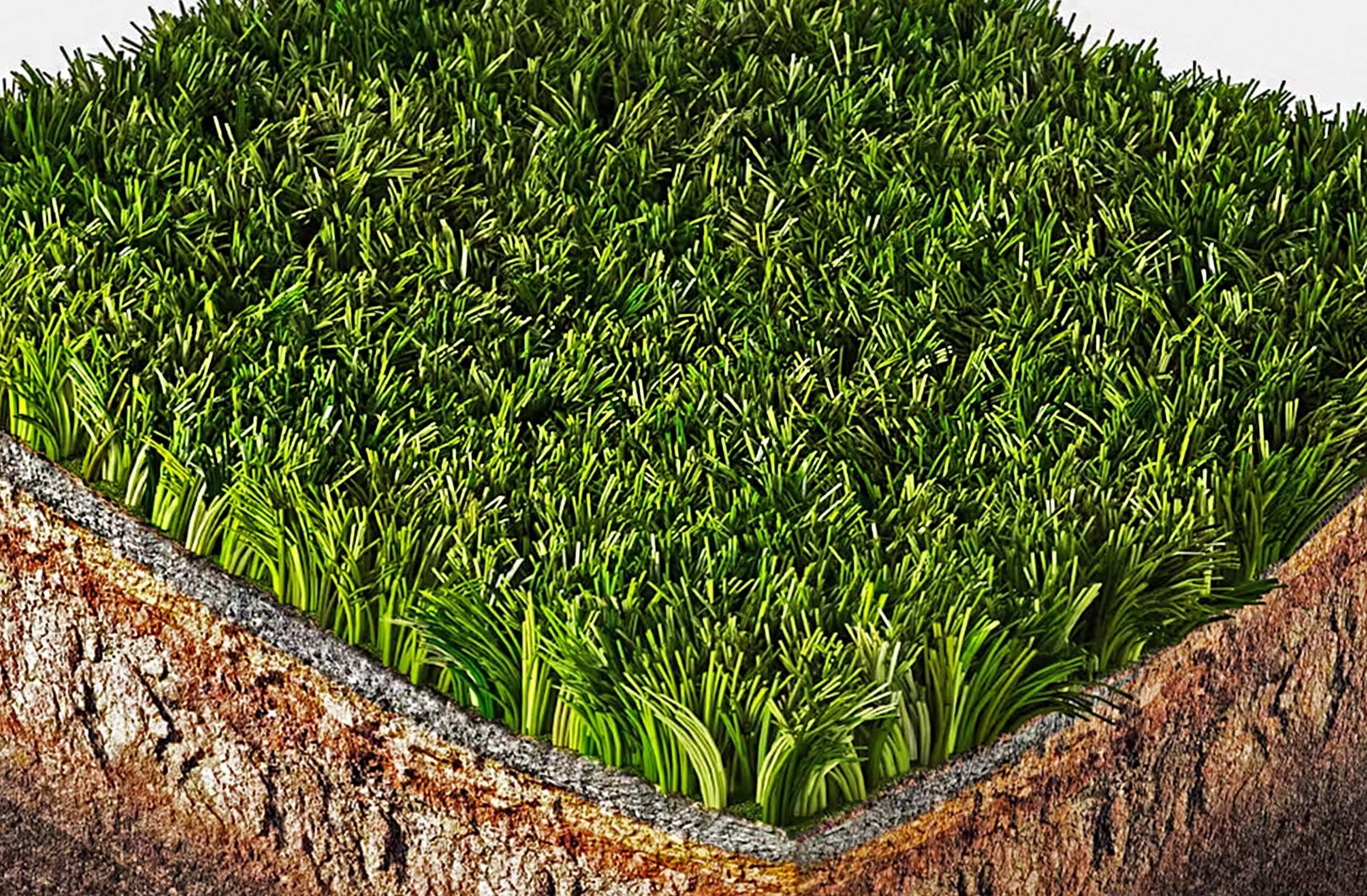 Morbi vitae purus dictum, ultrices tellus in, gravida lectus. 