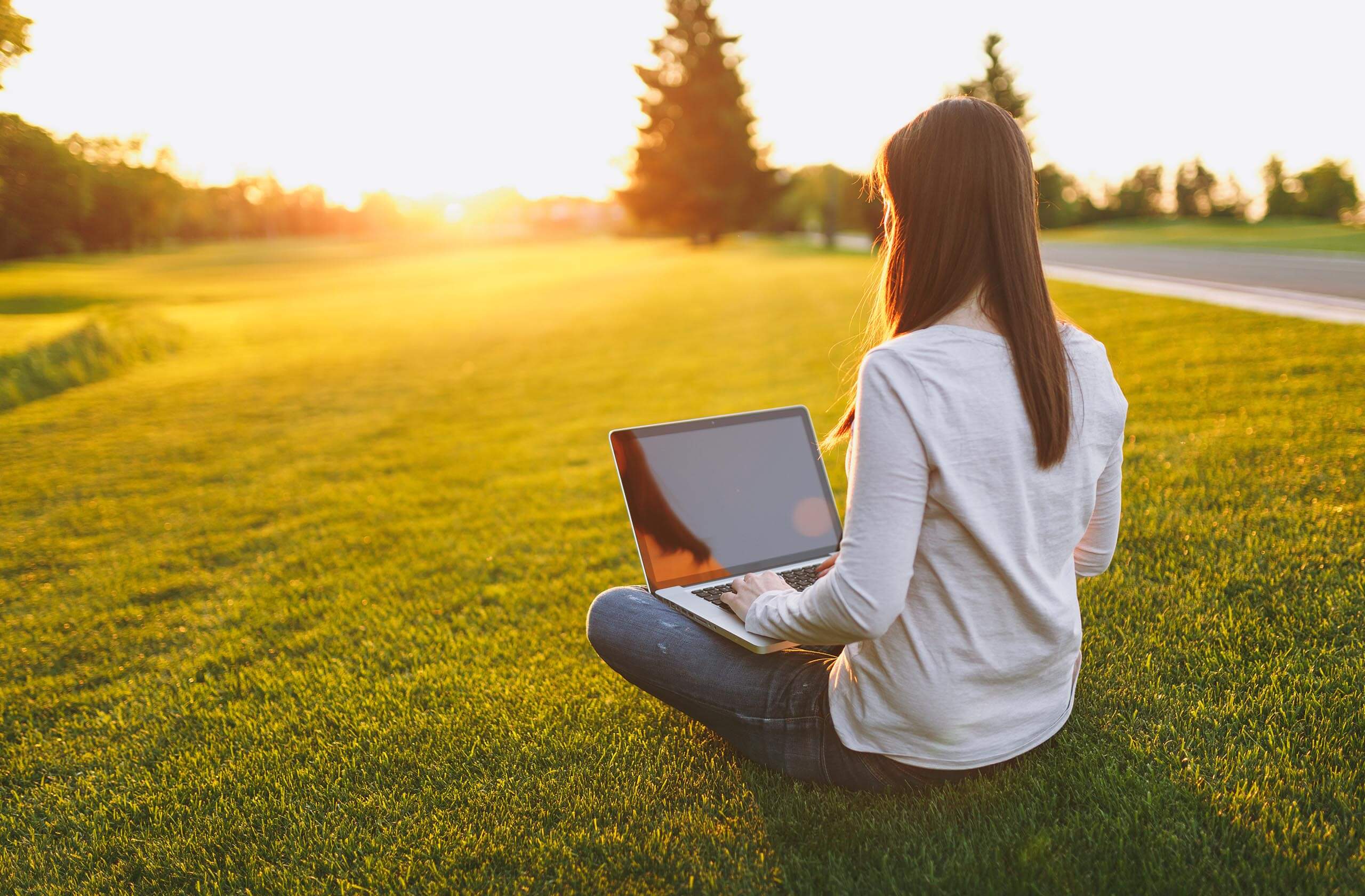 starostlivostotravnik.sk druhy trávnikov