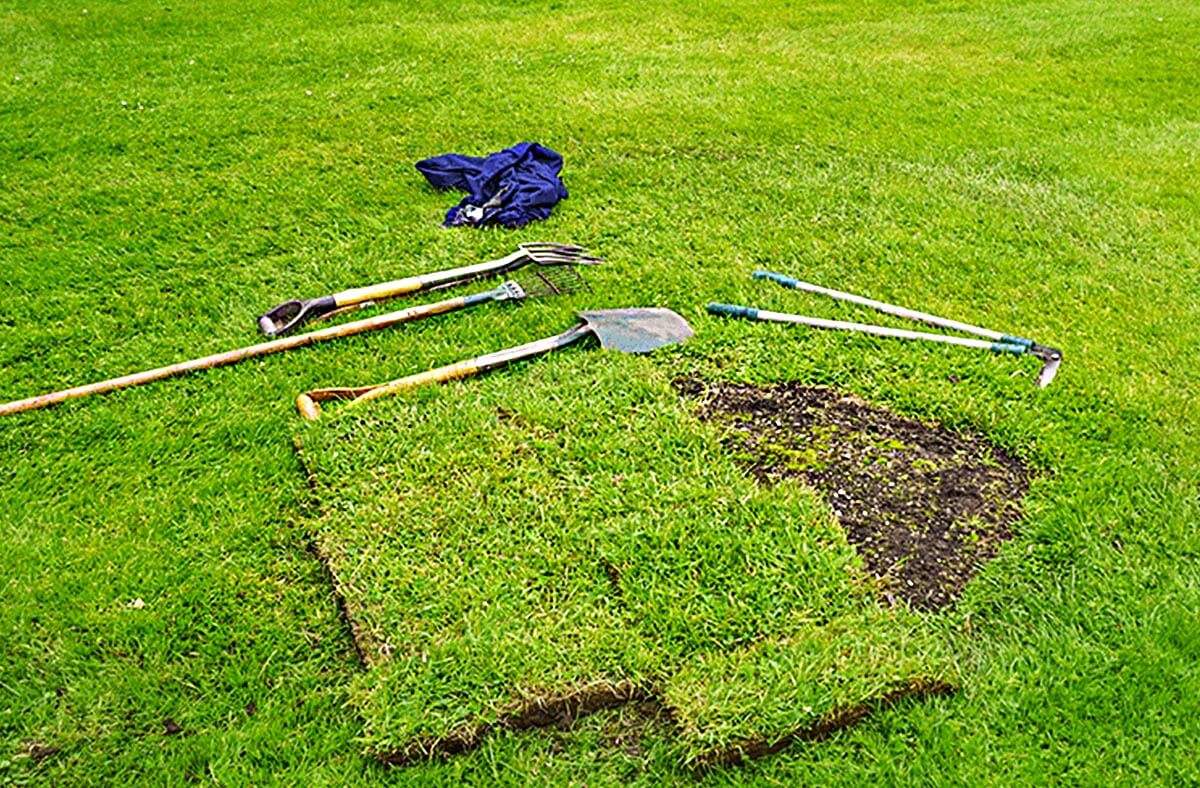 dosev a oprava trávnika