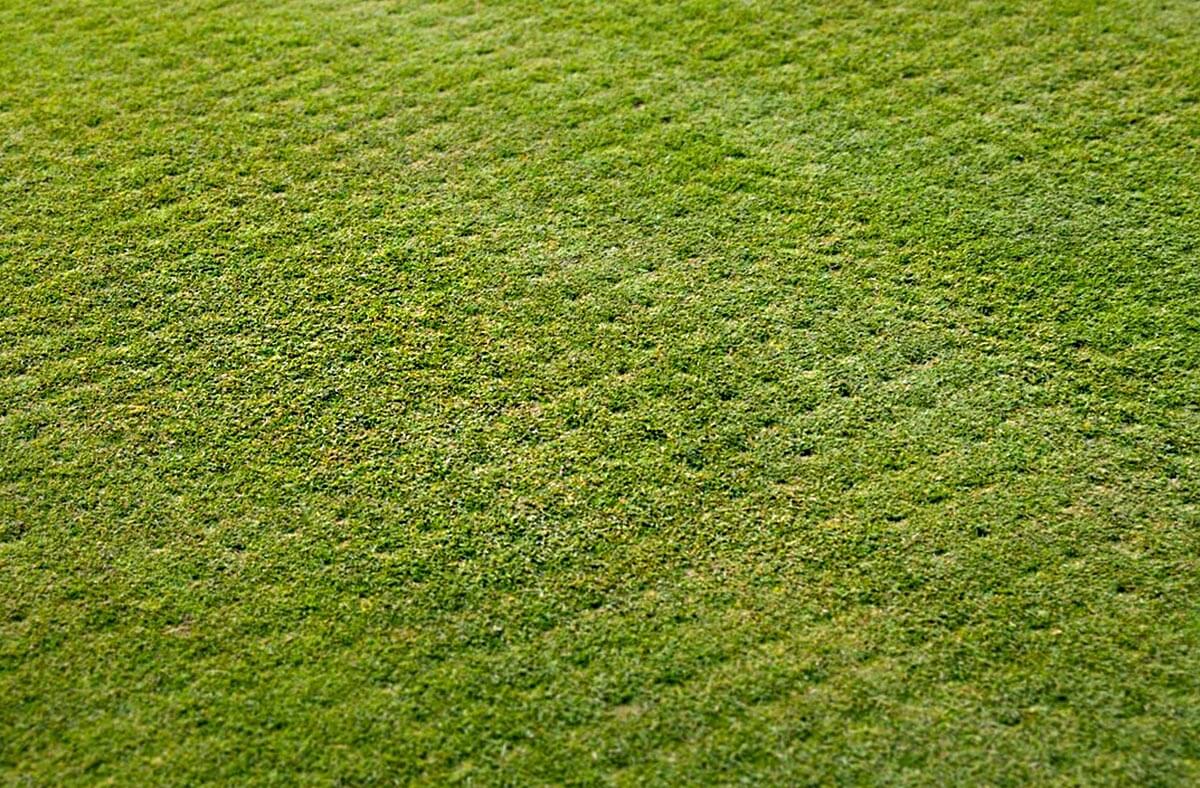 pieskovanie trávnika