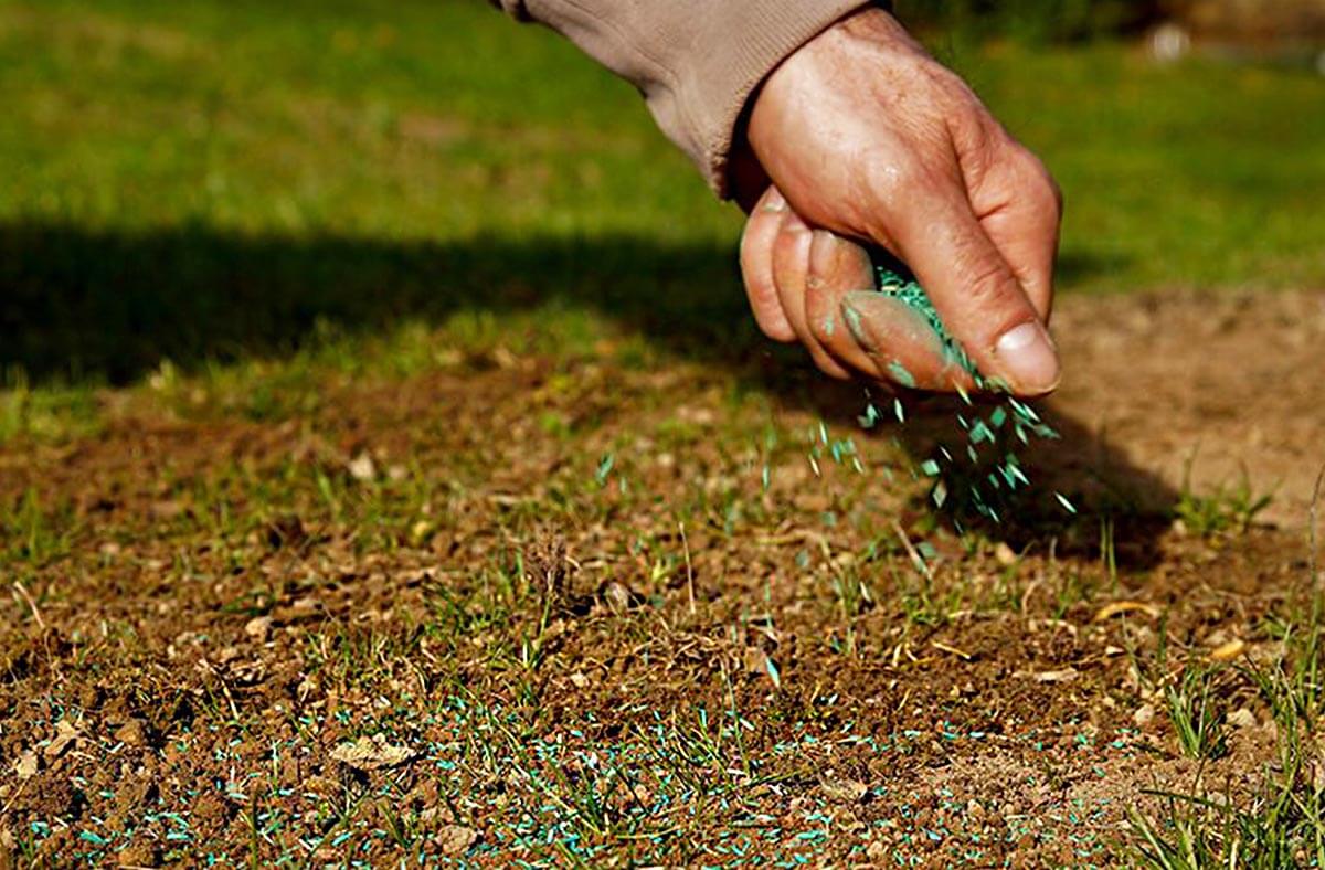 dosievanie trávnika