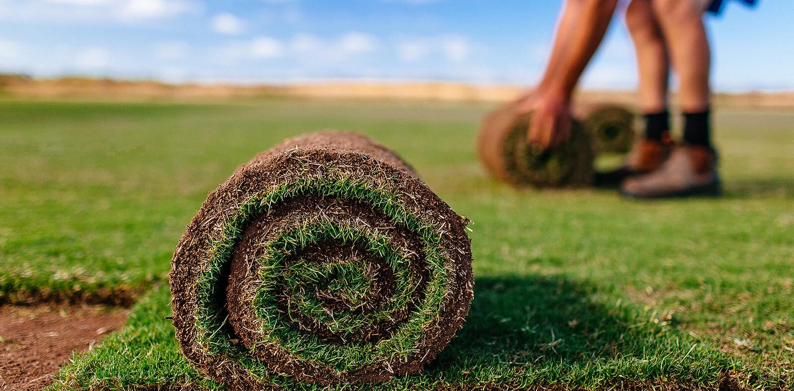 trávne koberce starostlivosť o trávnik