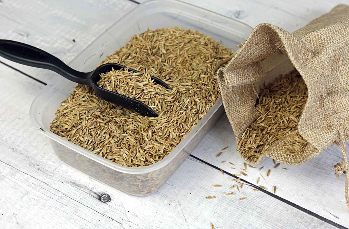 Zloženie trávnej zmesi