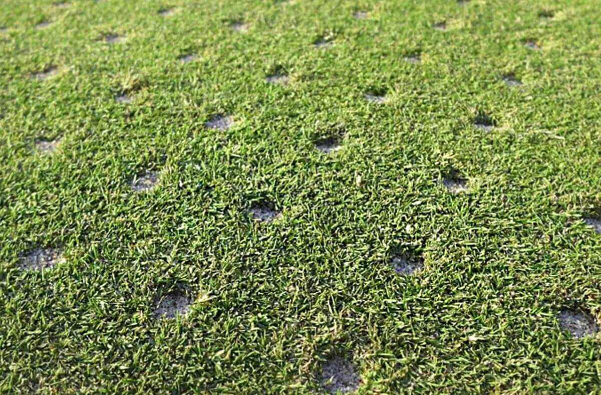 aerifikácia a pieskovanie, údržba trávnika