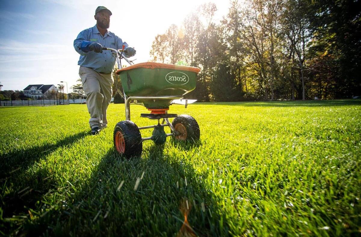 Výživa a hnojenie trávnika
