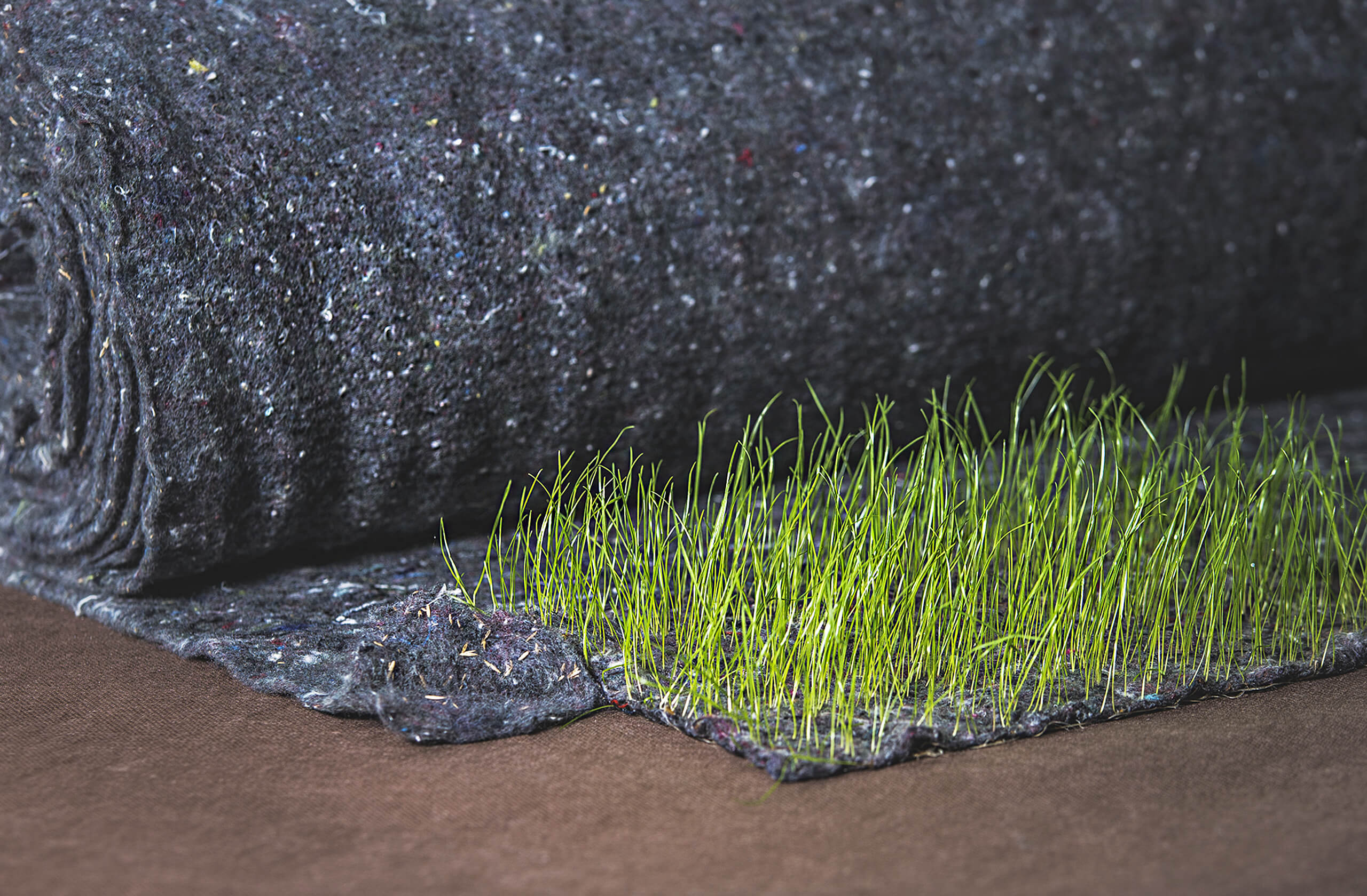 trávne semená v geotextílií