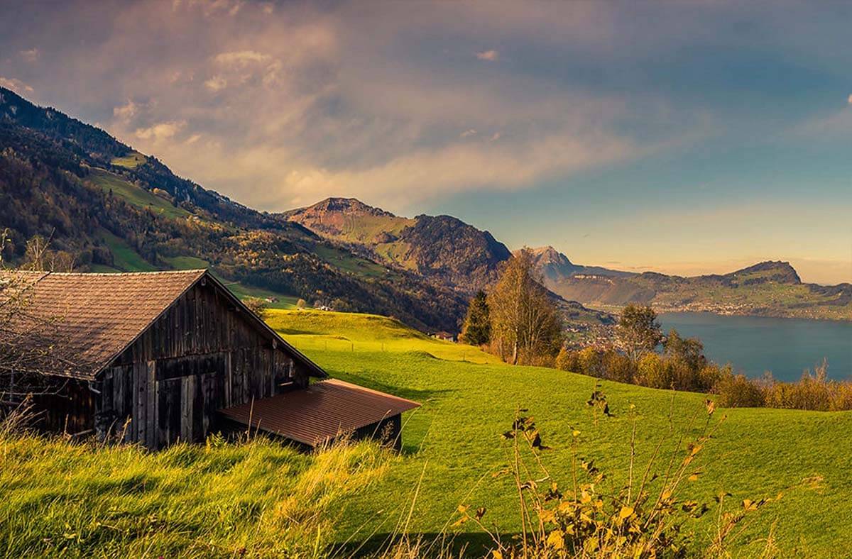 rozdelenie trávnikov